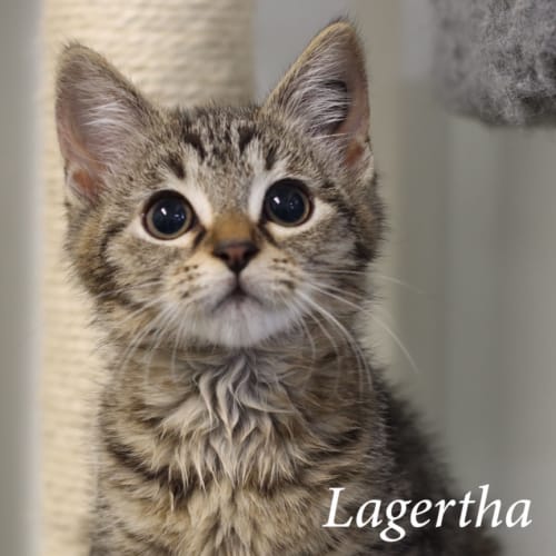 Lagertha