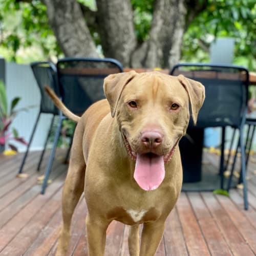 Arlo