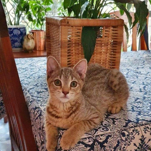 Barb and Georges babies