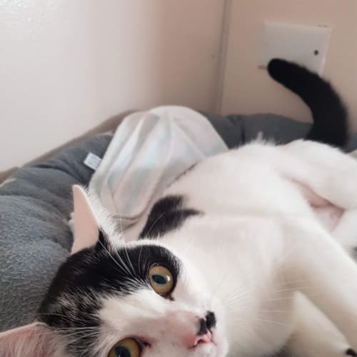 Matilda