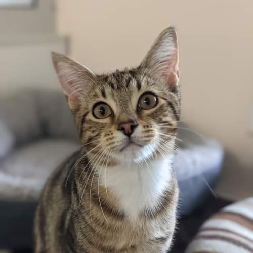 Ellie