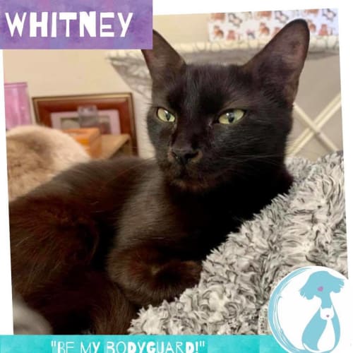 Whitney