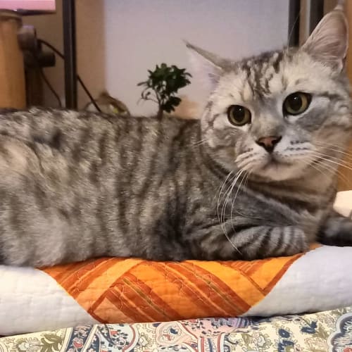 Zoe