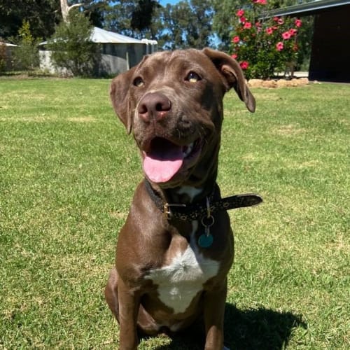 Coco
