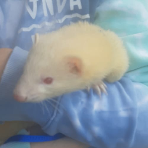 Matilda
