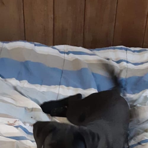 Ellie 
