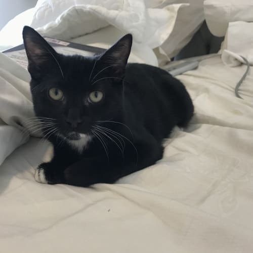 Kiki
