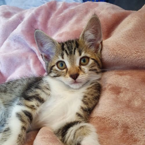 Winnie