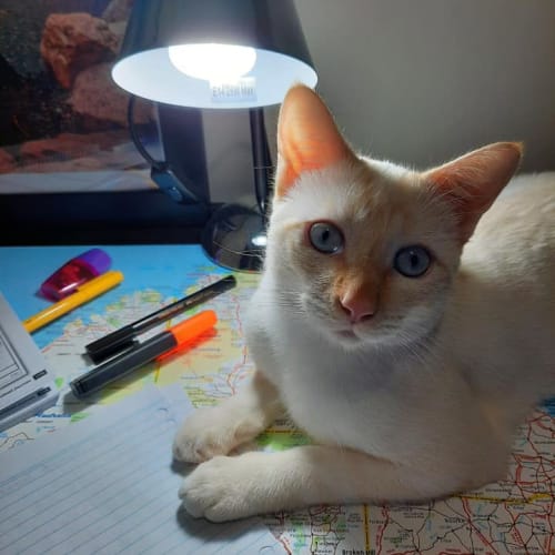 Mischka
