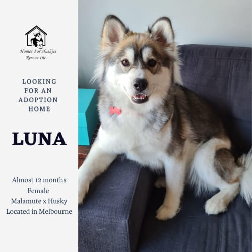 Luna