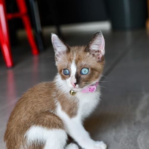 Delila Mae