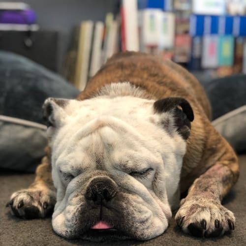 Diesel