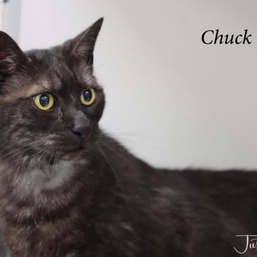 Chuck