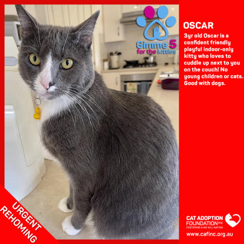 Oscar