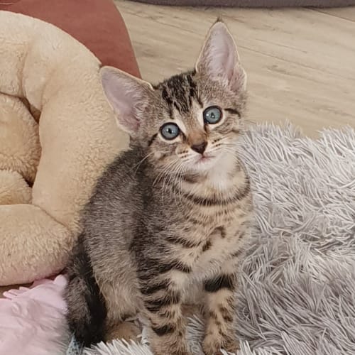 Ellie