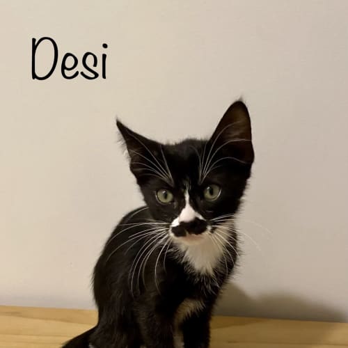 Desi