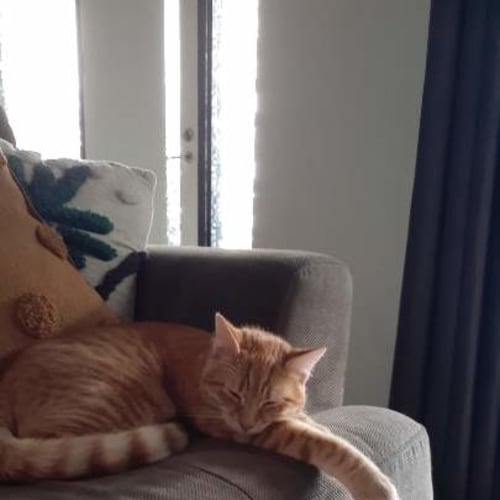 Paco 🧡