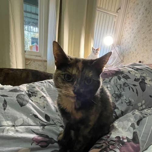 Luna
