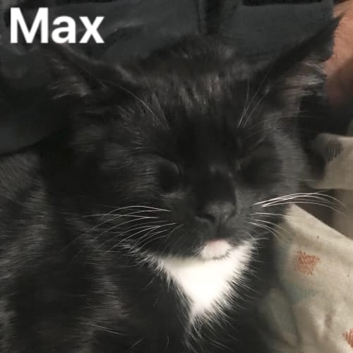 Roxanne & Max