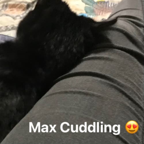 Max & Roxanne