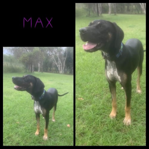 Max