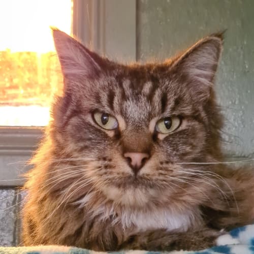 Max