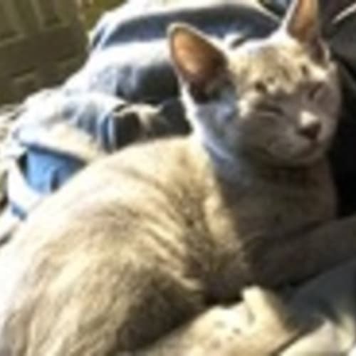  fern (was Tuna)