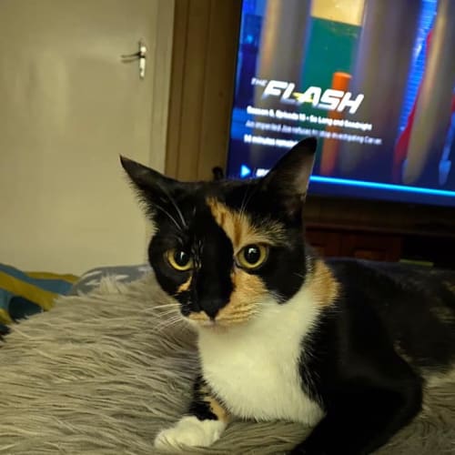 Millie