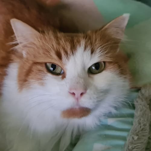 Billy