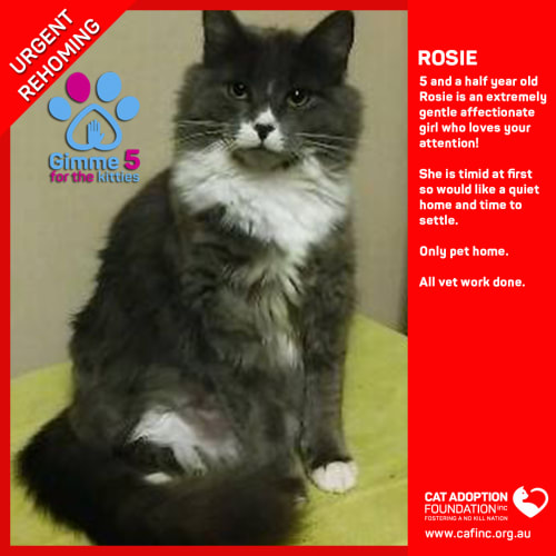 Rosie