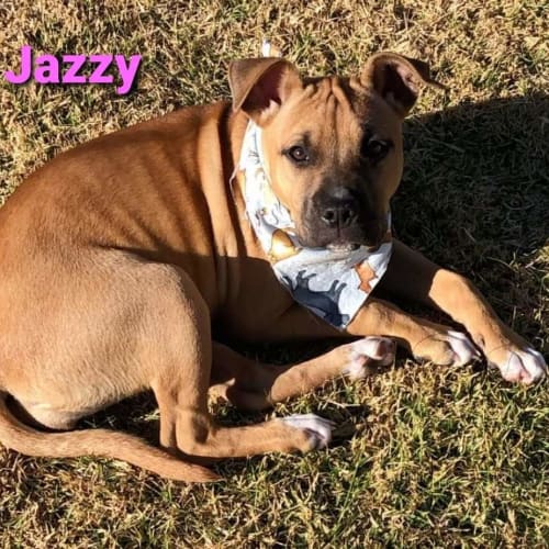 Jazzy