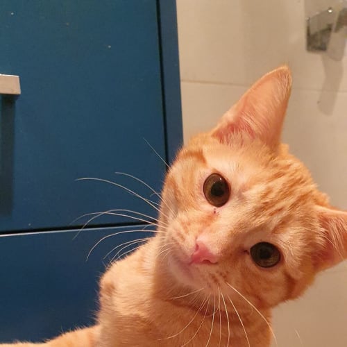 Fred
