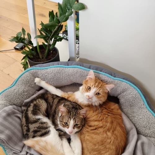 Kevin and Keith