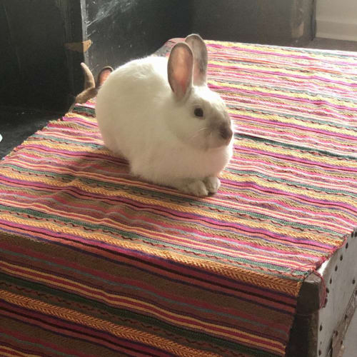 Frank (Choo Choo) with Hunny