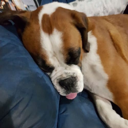 Max