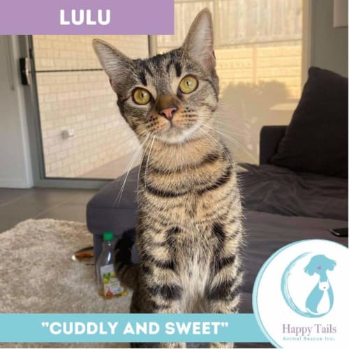 Lulu