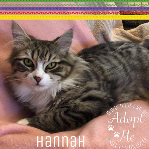 Hannah