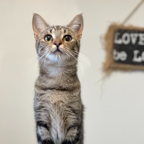 Matilda