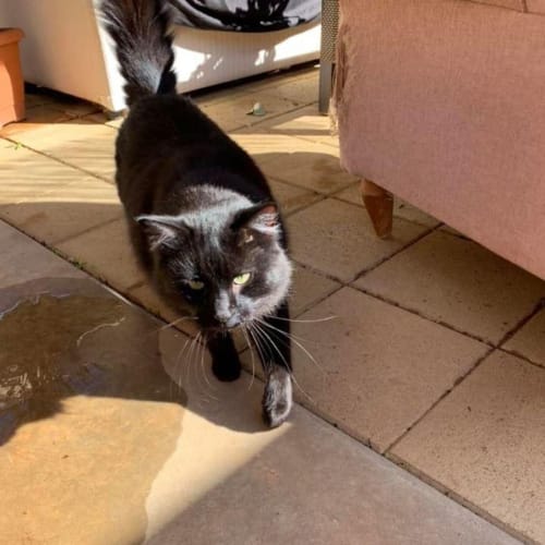 Jackson Dunwoodie is checking out his new home!