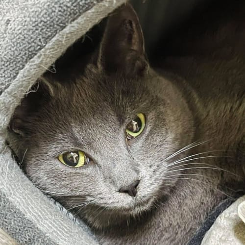Mocha - located in Preston