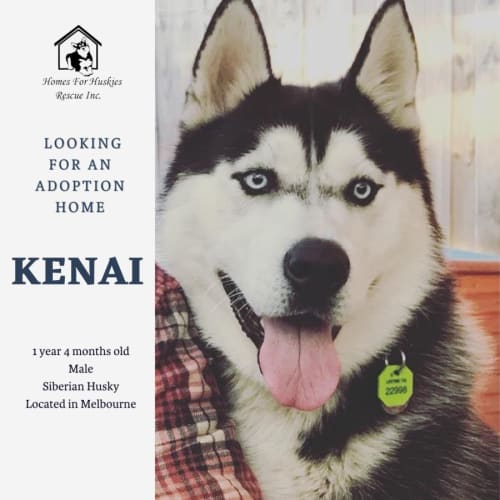 Kenai