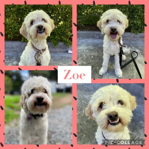 Zoe