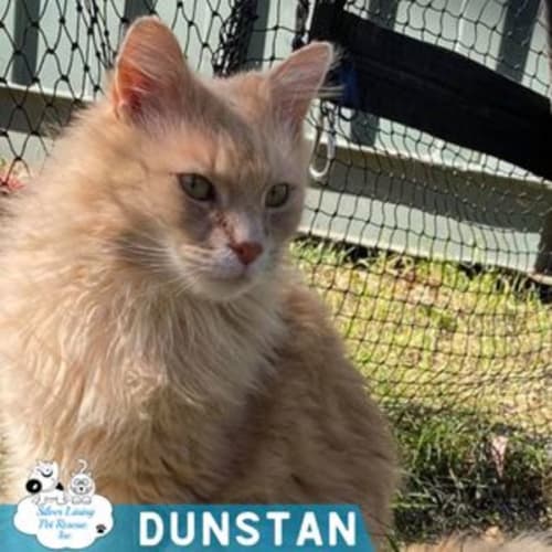 Dunstan