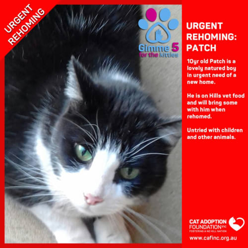 Patch