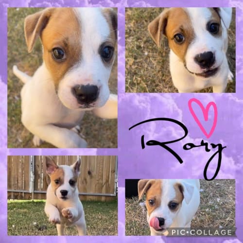 Rory