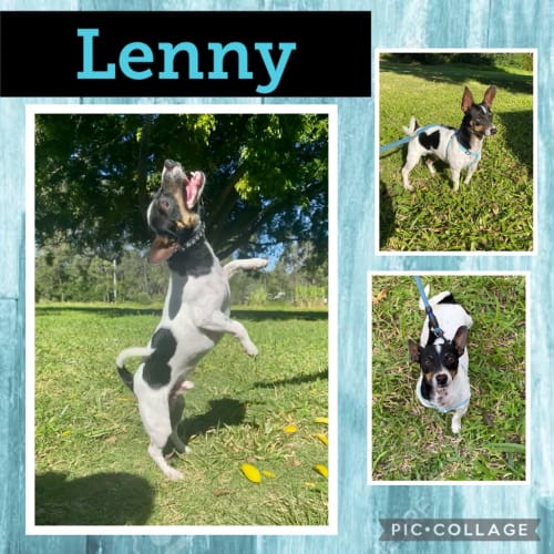 Lenny
