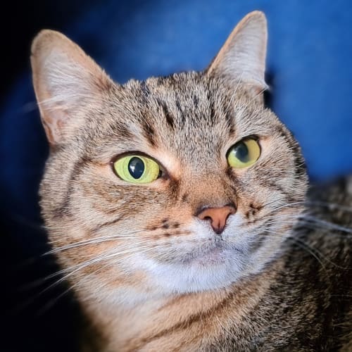 Sammy 