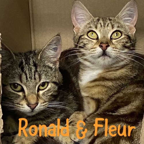 Ronald & Fleur 
