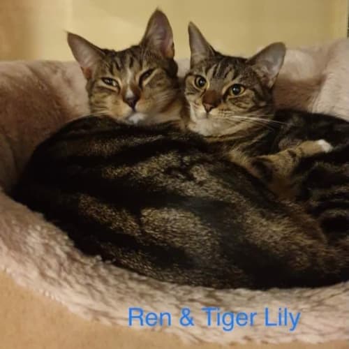 Tiger Lily and Ren