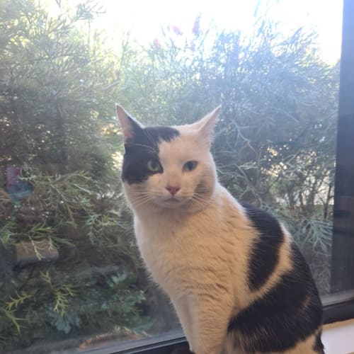 Tom